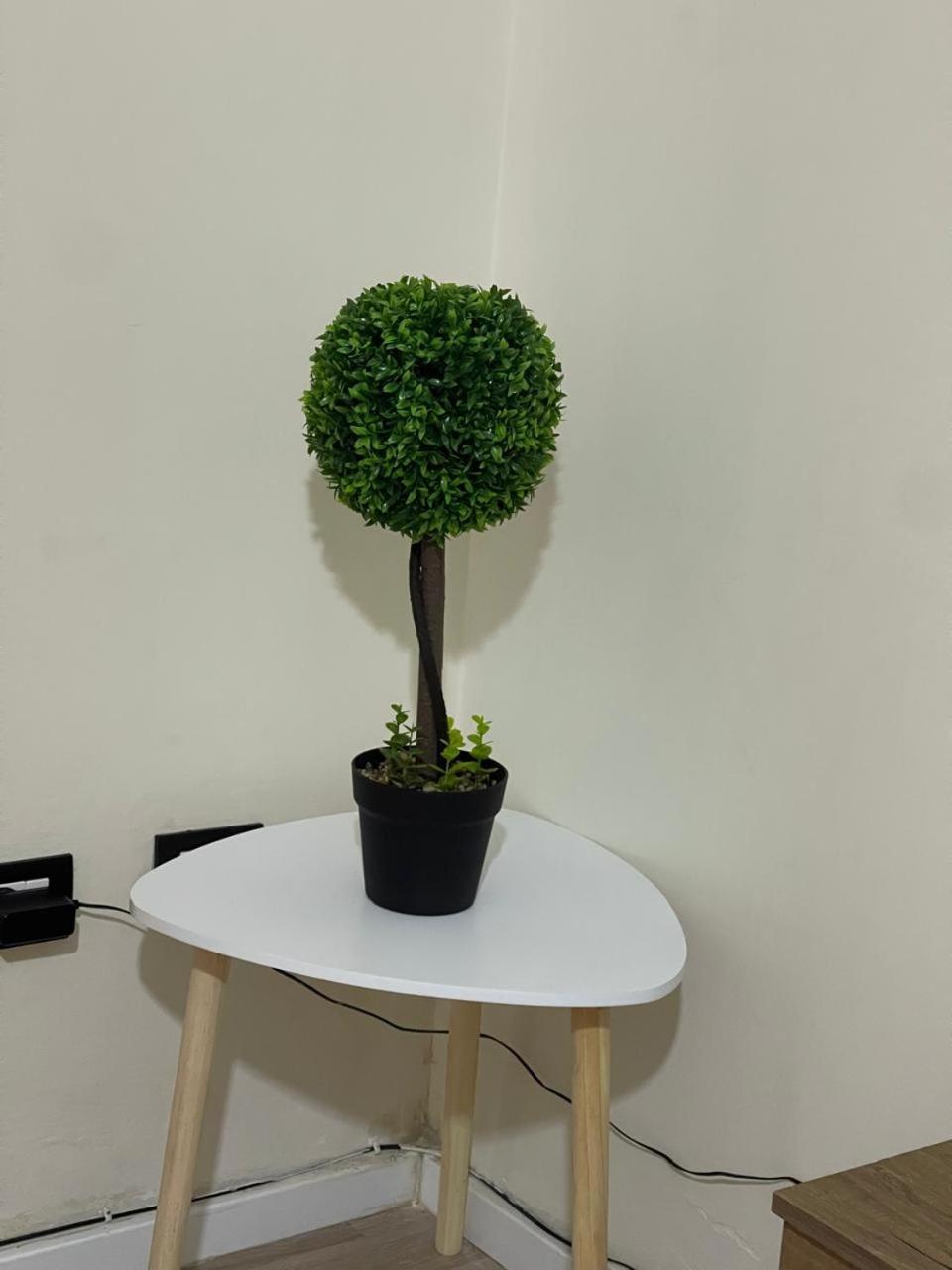Andra Apartment